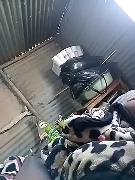 paptsimo online show from 12/15/25, 05:13