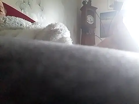 Vince072 online show from 02/11/26, 08:14