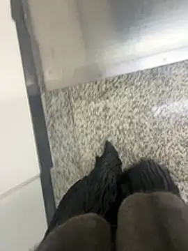 xiaoyuan01 online show from 02/06/26, 02:07