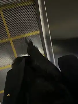 Snapshot of xiaoyuan01 chatting on 10/31/25, 02:52 xiaoyuan01 online show from 10/31/25, 02:52