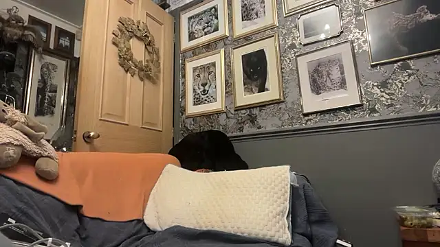 poggles online show from 02/21/26, 08:22