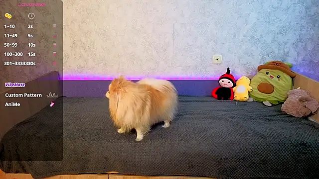 Mini Lady1 online show from 11/01/25, 07:13