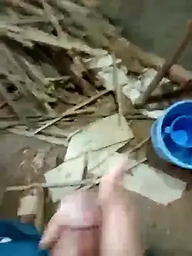 zim200 online show from 11/20/25, 06:36