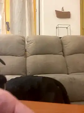 BestSexForYou online show from 01/16/26, 02:15