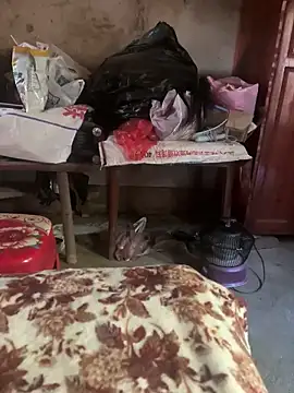 chenyu0308 online show from 11/15/25, 06:06