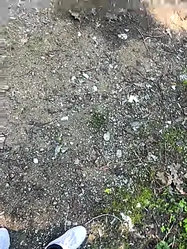 cihan 4141 online show from 10/20/25, 08:59