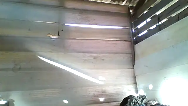 srtsara online show from 04/15/26, 10:54