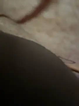 sweetsirenn online show from 11/24/25, 02:39