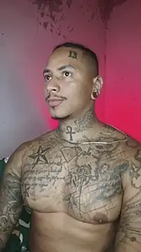 Snapshot of David_tatto1 chatting on 02/17/26, 02:53 David tatto1 online show from 02/17/26, 02:53