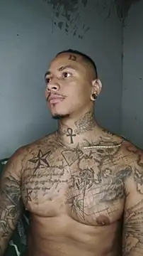 Snapshot of David_tatto1 chatting on 03/03/26, 03:35 David tatto1 online show from 03/03/26, 03:35