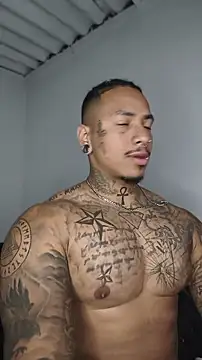 David tatto1 online show from 07/01/26, 03:07