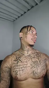 David tatto1 online show from 06/09/26, 03:07