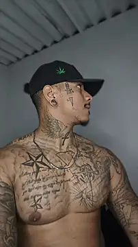 David tatto1 online show from 06/17/26, 03:06