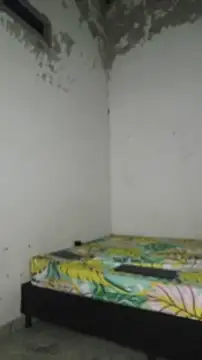 David tatto1 online show from 04/02/26, 03:13