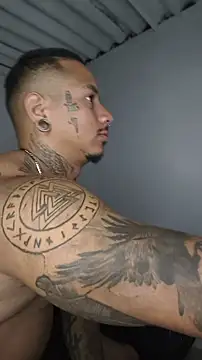 David tatto1 online show from 07/09/26, 03:29