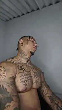 David tatto1 online show from 06/03/26, 03:18