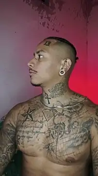 Snapshot of David_tatto1 chatting on 02/13/26, 03:17 David tatto1 online show from 02/13/26, 03:17