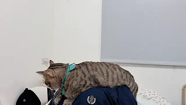 Snapshot of LHeart chatting on 04/05/26, 02:24 LHeart online show from 04/05/26, 02:24