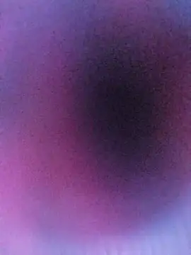 ranisingh1234 online show from 09/14/25, 04:13