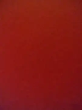 Snapshot of Fox_Roxxan chatting on 10/12/25, 01:51 Fox Roxxan online show from 10/12/25, 01:51