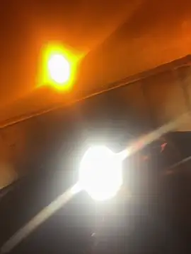 avamaxwell online show from 02/15/26, 06:18