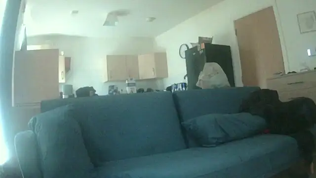 Snapshot of avamaxwell chatting on 05/21/26, 11:29 avamaxwell online show from 05/21/26, 11:29