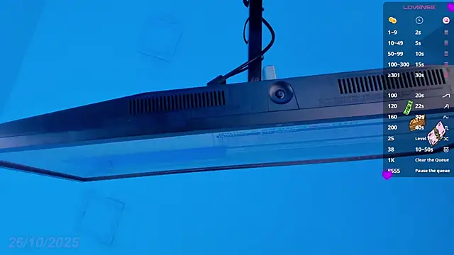 Sebax Young online show from 10/26/25, 09:26