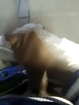 92donis online show from 11/20/25, 07:25