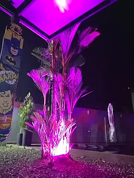 Snapshot of Yessica_Lopezz chatting on 02/24/26, 10:16 Yessica Lopezz online show from 02/24/26, 10:16