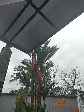 Yessica Lopezz online show from 03/05/26, 11:29