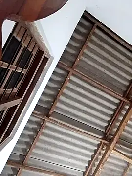 boosypussy online show from 11/13/25, 11:08