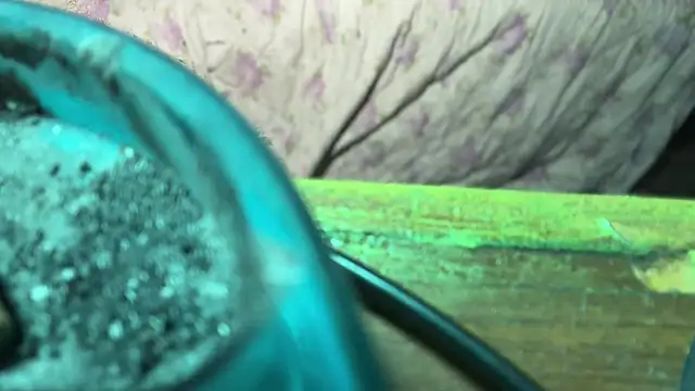 HodgeVibes online show from 04/21/26, 11:50