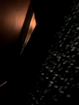 franciscommx online show from 10/31/25, 01:57