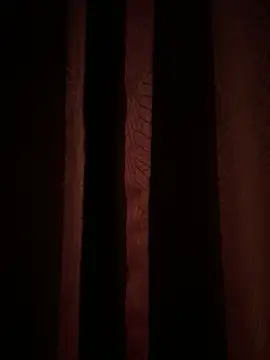 franciscommx online show from 11/06/25, 03:21