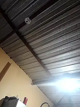 Ortiz3404 online show from 11/12/25, 04:27