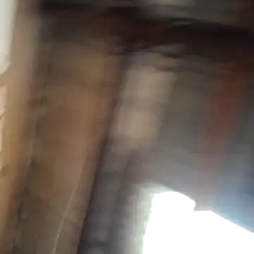 Ortiz3404 online show from 03/09/26, 05:16