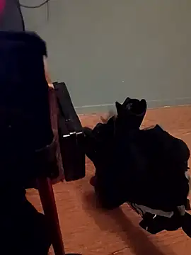 Crossedsissy online show from 01/07/26, 12:37