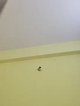 Snapshot of radhika2 chatting on 11/07/25, 09:08 radhika2 online show from 11/07/25, 09:08