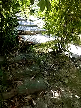 zack23088 online show from 10/04/25, 12:45