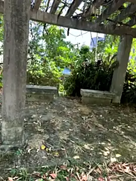 zack23088 online show from 10/18/25, 02:02