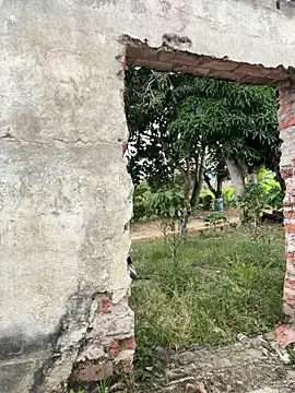 Jacksonfranco online show from 12/17/25, 10:04