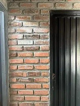 Jacksonfranco online show from 11/19/25, 02:28