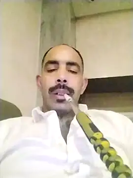 Snapshot of salimbasha chatting on 11/29/25, 07:25 salimbasha online show from 11/29/25, 07:25