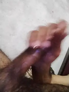 salimbasha online show from 04/01/26, 01:08