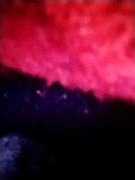 Snapshot of salimbasha chatting on 09/28/25, 12:28 salimbasha online show from 09/28/25, 12:28