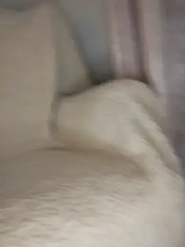 Snapshot of peepformance chatting on 10/30/25, 09:29 peepformance online show from 10/30/25, 09:29