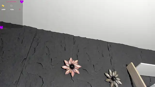 CleoWhite online show from 11/29/25, 09:15