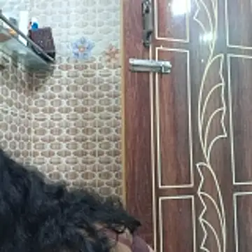 Bristy- online show from 11/06/25, 11:25