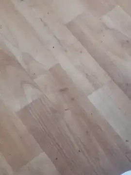 Snapshot of jhoi95 chatting on 10/20/25, 10:32 jhoi95 online show from 10/20/25, 10:32