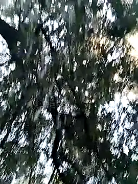 KalendaXL online show from 04/05/26, 04:24